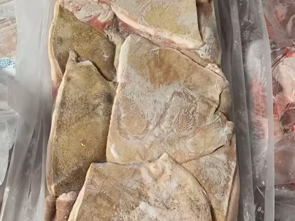 Щековина на шкуре (баки)
