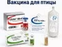 Вакцины для сельскохозяйственной птицы — Foto 2