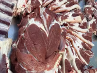 मेढ़ा, Rhon sheep — फ़ोटो 5