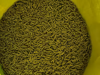 Vindem mincare pentru sinsila granule de 2.5mm produs in Ungaria 16lei(chinchila,sinsila,шиншила) — फ़ोटो 2