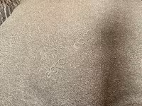 Шрот рапсовый — photo 3