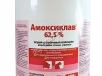Амоксиклав 62,5% / Амоксициллина тригидрат и клавулановая кислота. — Foto 1