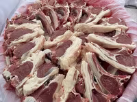 كبش, الأغنام — الصورة 6