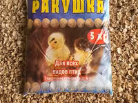 Ракушка морская кормовая — फ़ोटो 1