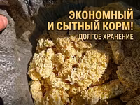 Яичная лапша для скота — экономичный и сытный корм. - Назначение — Foto 2