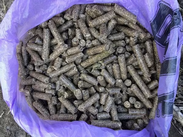 Шрот подсолнечный 38-39