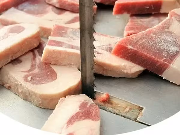 Пилы ленточные для мяса и полотна к ним