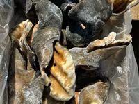 Уши говяжьи опаленные — photo 3