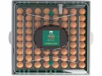 Incubator de ouă EU Profi C-72 — 照片 3