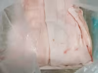 Шпик хребтовой — फ़ोटो 2