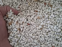 Продаю Сафлор
Свежий этого года — photo 3