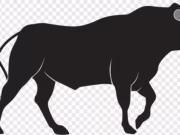 公牛, Cattle — 俄罗斯