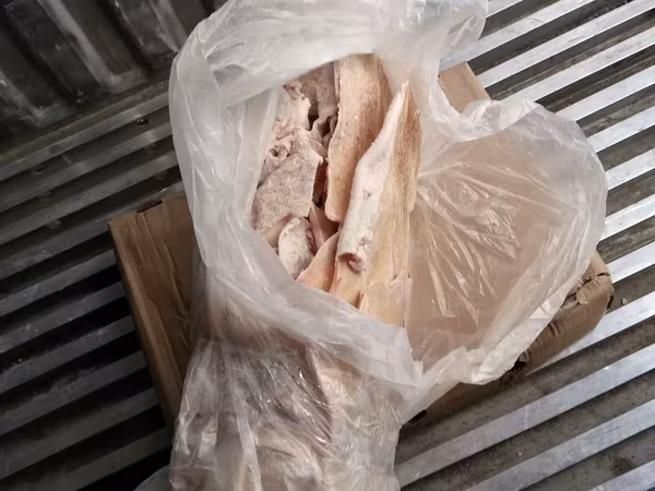 Шкура свиная