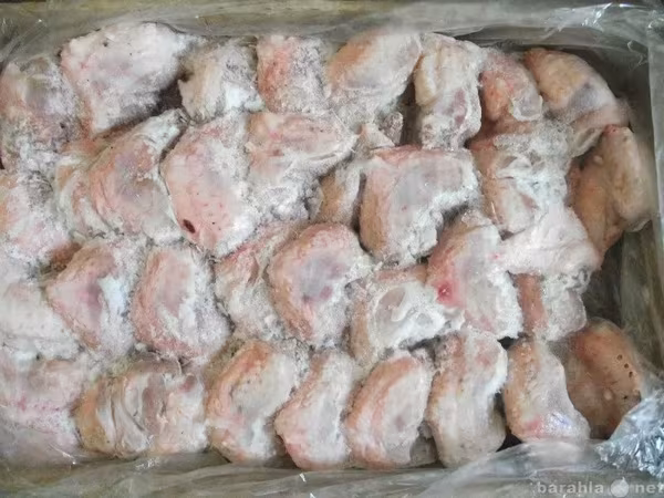Гузка индейки