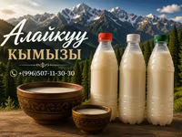 Кымыз, саамал, Оптом, Бесплатная доставка, Платная доставка — photo 1