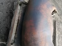 خنزير ذكر, الخنازير — الصورة 1