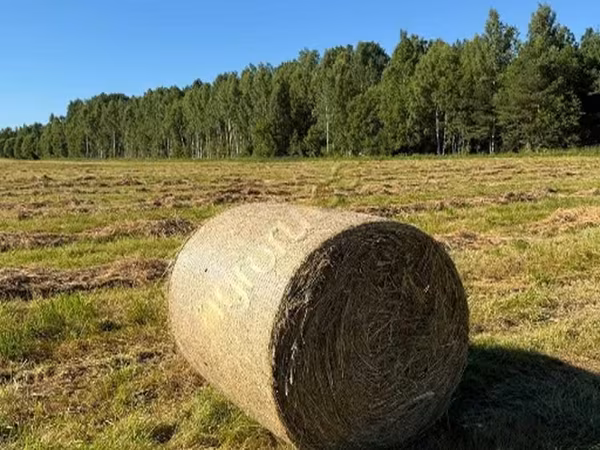 Сено в рулонах