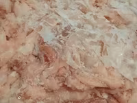 Суповой набор цыпленка бройлера — 照片 2