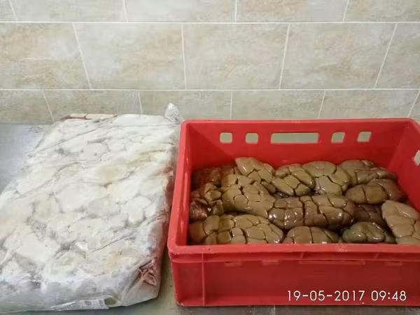 Почки говяжьи