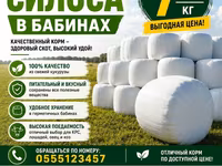 Силос в бабинах из свежей кукурузы - Питательный и вкусный корм — photo 1