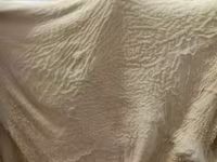 говяжьи и бараньи субпродукты — फ़ोटो 5