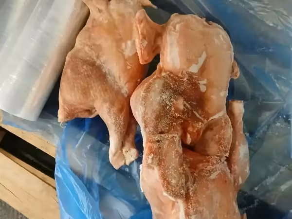 Маточник тушка кур 1 и 2 сорт