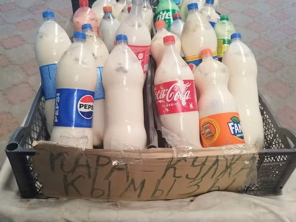 Кымыз, саамал, В розницу, Платная доставка