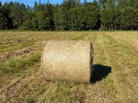 Сено в рулонах — Foto 3
