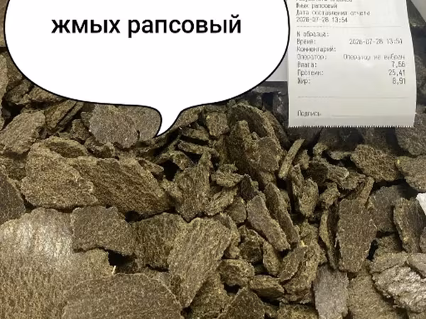Жмых рапсовый