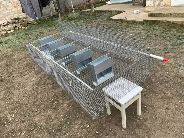 Cuști pentru iepuri клетка для кроликов