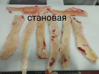 Становая жила — फ़ोटो 2