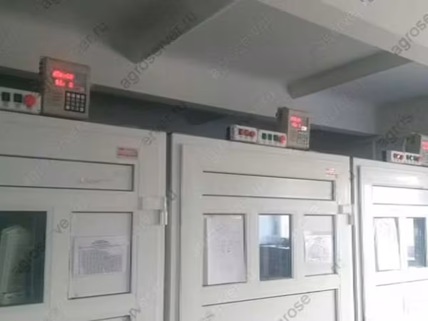 Адлерская серебристая