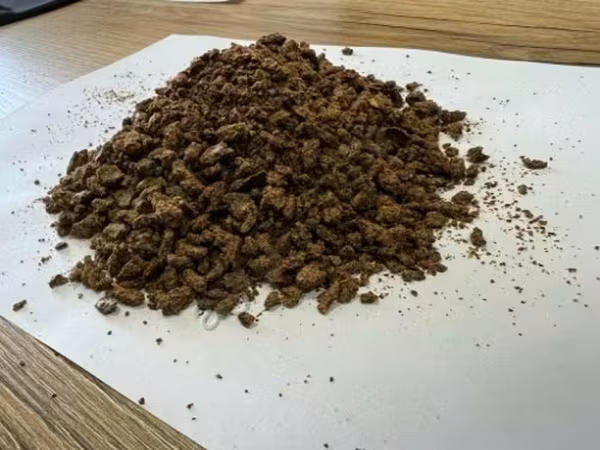 РАПСОВЫЙ ЖМЫХ