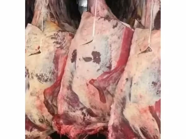 Полутуши быков и коров