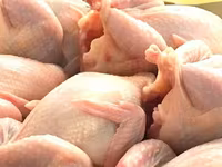 Prepelite: carne, oua, taietei, afumate, marinate, congelate, maioneza, pate, carne inabusita etc.. — 照片 2
