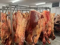 Говядина коровы, бычки — फ़ोटो 3