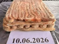 Бычий корень говяжий (пенис) оптом — फ़ोटो 5
