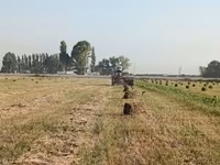 Пресстелген Беде Люцерна сатылат подпокровный арпасын чопко чааб — 照片 2