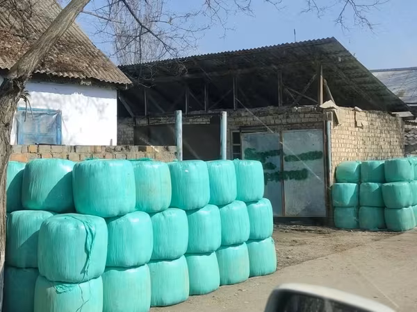 Силос хорошего качества 6 сом в бабинах село Александровка
