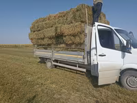Клевер аралаш доставка есть цена 270с — Foto 3