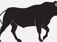 公牛, Cattle — 照片 1