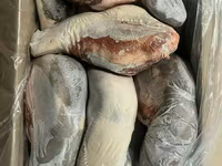 Язык говяжий — फ़ोटो 3