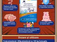 Stimulator pentru creștere porcilor premix — Foto 2