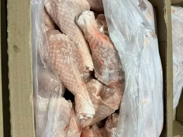 Голень индейки