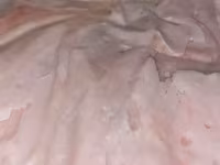 Жир свиной внутренний — Foto 1