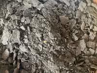Macuc de floarea soarelui — Foto 1