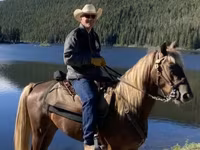 Caballo, Rocky Mountain Horse — foto 1