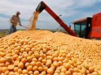 Соя экструдированная полножирная 37-39% — फ़ोटो 1