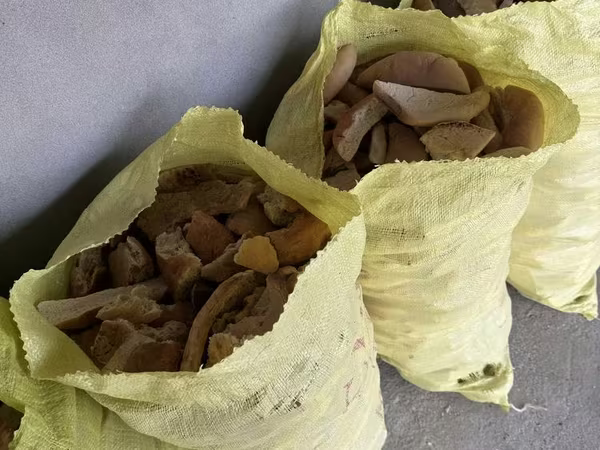 Мол, куй, хайвонлар учун нон кок