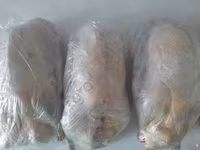 Geese — photo 1